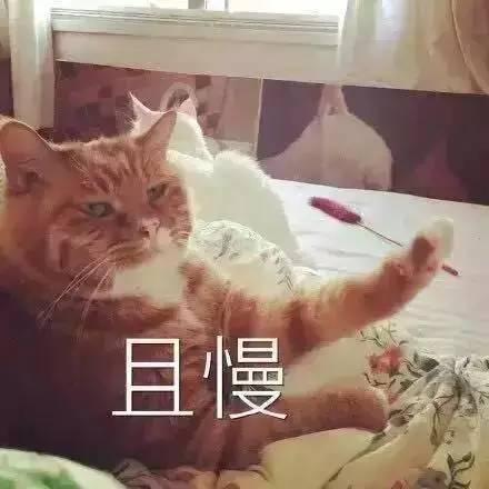 太子妃升职记大结局为什么没有，"太子妃升职记"下线
