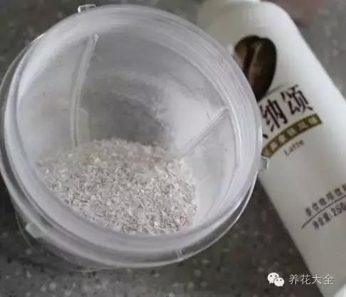 淘米水浇花的正确方法，淘米水怎样浇花才正确（养花才能盆盆长得旺）