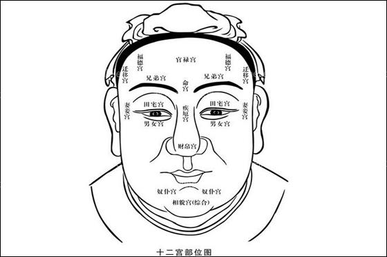 富贵面相40种，自然是八方来财