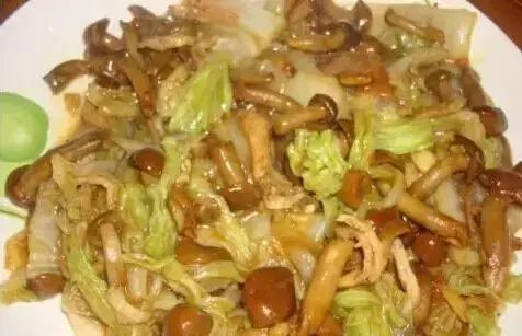 东北菜谱家常菜做法，30道最经典东北菜菜谱（教你6道东北硬菜）