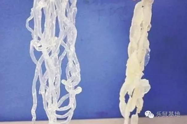 海蜇丝怎么做好吃，海蜇丝的正确食用方法来啦（海蜇这样做冷吃热吃都不错）