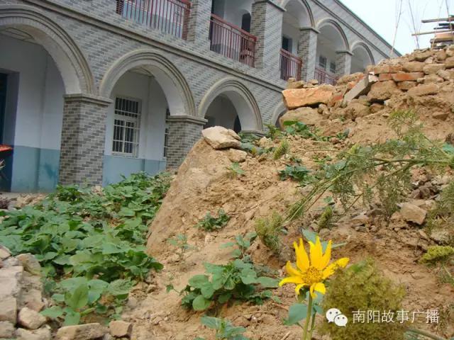 南阳二中现状，南阳市人民政府向市二中发来贺信——国际大赛夺佳绩