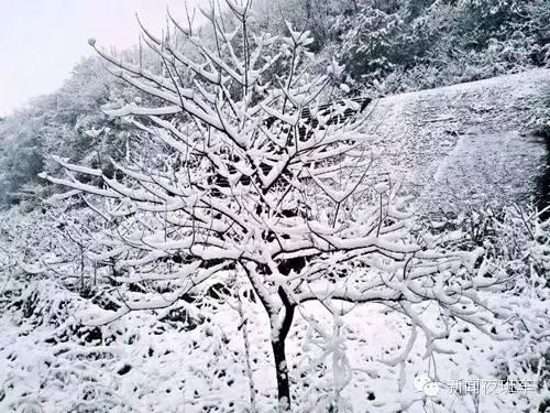 最美的雪景图片，十大最美雪景