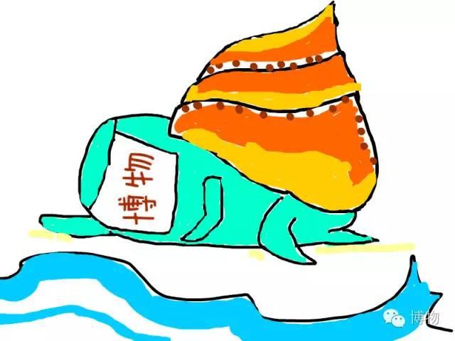 带壳的海鲜有哪些，海鲜带壳的都叫什么（土豪都没吃过，你见识过吗）