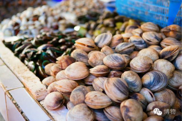 带壳的海鲜有哪些，海鲜带壳的都叫什么（土豪都没吃过，你见识过吗）