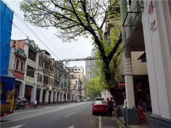 广州必吃的20种美食，老板还以为你是广州人