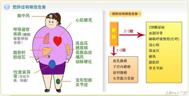 腰部肥胖标准(腰部肥胖标准是多少)