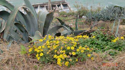 阳江市海陵岛海上丝绸之路旅游区，天之涯海之角---苔菉海洋小镇建设