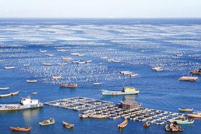 阳江市海陵岛海上丝绸之路旅游区，天之涯海之角---苔菉海洋小镇建设