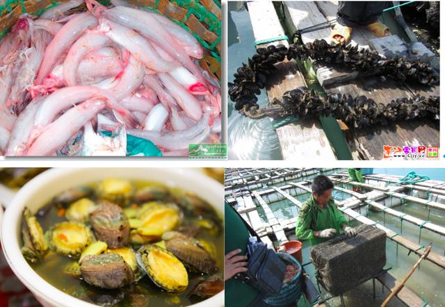 阳江市海陵岛海上丝绸之路旅游区，天之涯海之角---苔菉海洋小镇建设