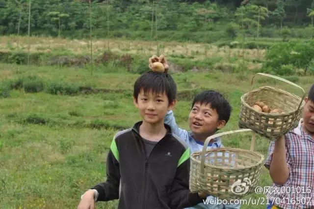 成都市最牛逼的幼儿园，一所让阅读照亮生命成长的阅见乐园