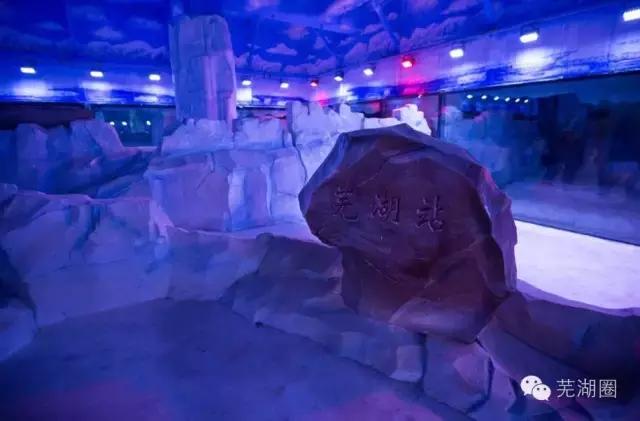 合肥海洋公园游览路线，芜湖海洋公园正式开园