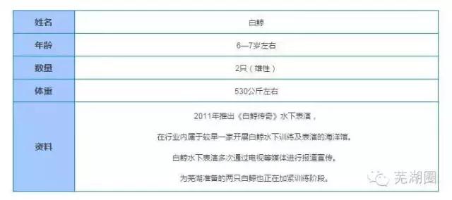 合肥海洋公园游览路线，芜湖海洋公园正式开园