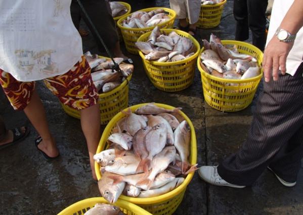 阳江市海陵岛海上丝绸之路旅游区，天之涯海之角---苔菉海洋小镇建设