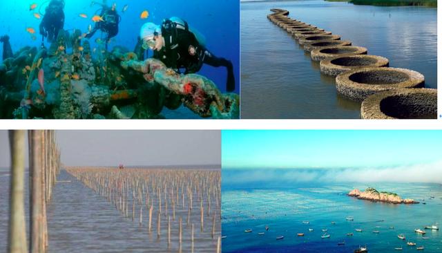 阳江市海陵岛海上丝绸之路旅游区，天之涯海之角---苔菉海洋小镇建设