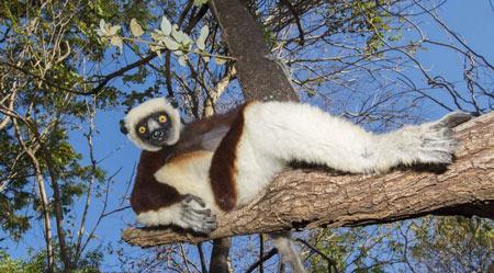 赵丽颖会唱歌吗，赵丽颖2006年唱歌（赵丽颖献唱春晚）