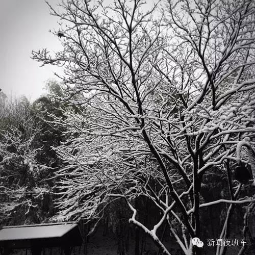 最美的雪景图片，十大最美雪景