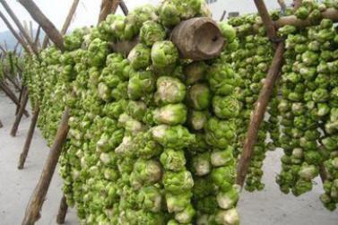 榨菜的腌制方法，重庆涪陵榨菜的腌制方法（那些咸菜就粥的记忆又回来了）