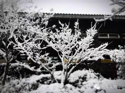 最美的雪景图片，十大最美雪景