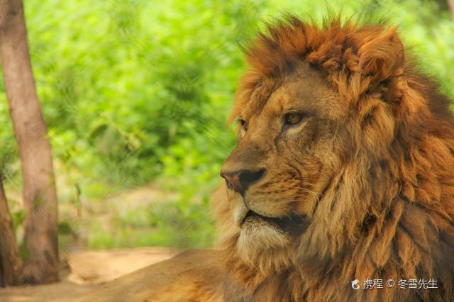 北京旅游必去景点排名，北京必玩景点排名前十的地方推荐