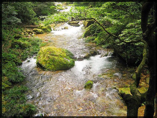 朝阳凤凰山景区游玩攻略，凤凰最值得一去的自然美景地推荐