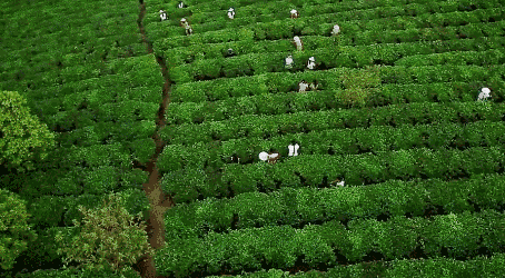 韶关旅游景点大全，韶关18个春游好去处（韶关旅游景点推荐大全）