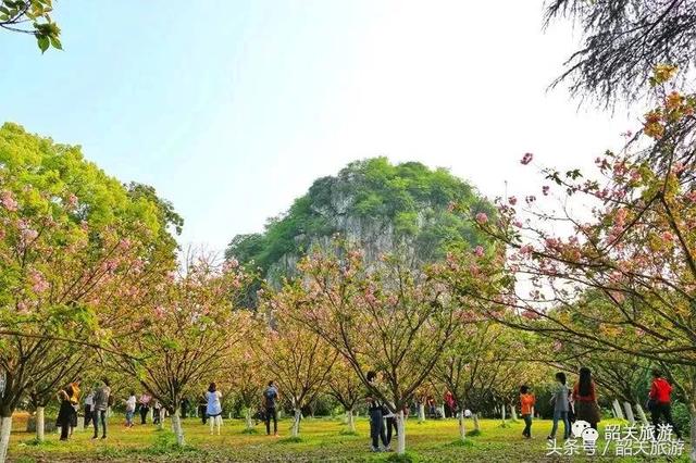 韶关旅游景点大全，韶关18个春游好去处（韶关旅游景点推荐大全）