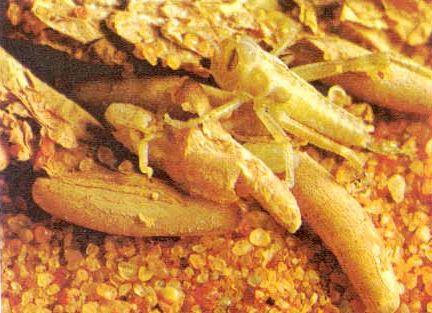 汉匈之战移出历史课本，陕西历史教授提出《出师表》宣扬愚忠