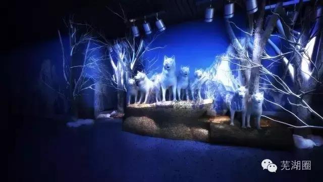 合肥海洋公园游览路线，芜湖海洋公园正式开园