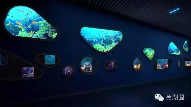 合肥海洋公园游览路线，芜湖海洋公园正式开园