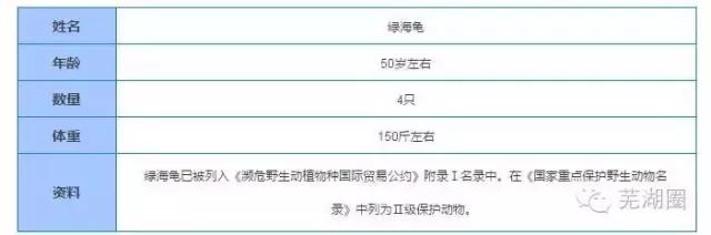 合肥海洋公园游览路线，芜湖海洋公园正式开园