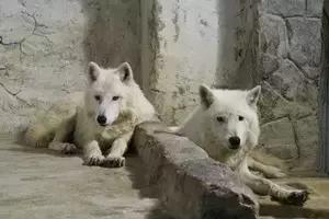 合肥海洋公园游览路线，芜湖海洋公园正式开园