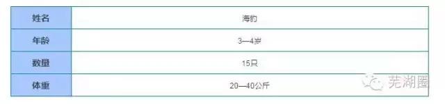 合肥海洋公园游览路线，芜湖海洋公园正式开园