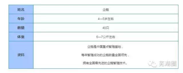 合肥海洋公园游览路线，芜湖海洋公园正式开园
