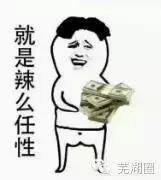 合肥海洋公园游览路线，芜湖海洋公园正式开园