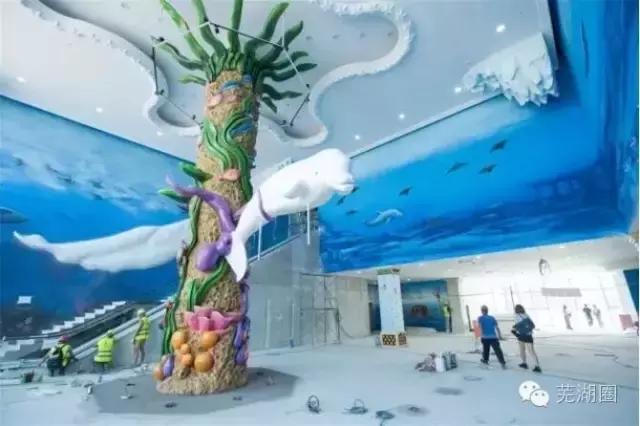 合肥海洋公园游览路线，芜湖海洋公园正式开园