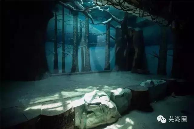 合肥海洋公园游览路线，芜湖海洋公园正式开园