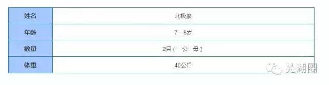 合肥海洋公园游览路线，芜湖海洋公园正式开园