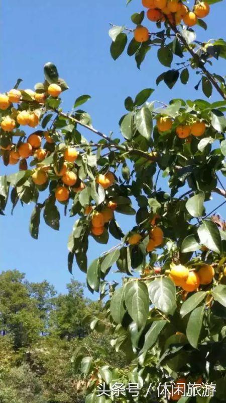 洛阳西泰山风景对比，西泰山风景区介绍