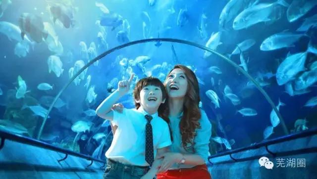 合肥海洋公园游览路线，芜湖海洋公园正式开园