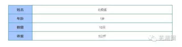 合肥海洋公园游览路线，芜湖海洋公园正式开园