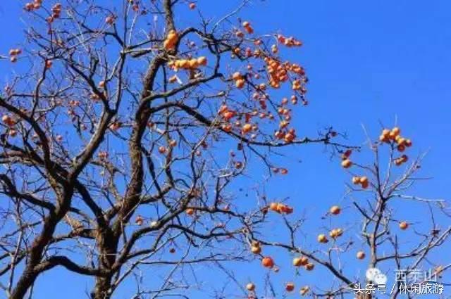 洛阳西泰山风景对比，西泰山风景区介绍