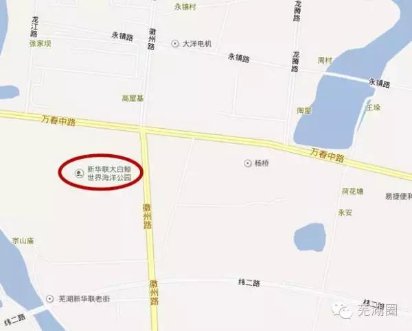 合肥海洋公园游览路线，芜湖海洋公园正式开园