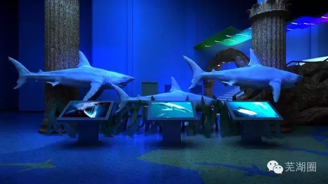 合肥海洋公园游览路线，芜湖海洋公园正式开园