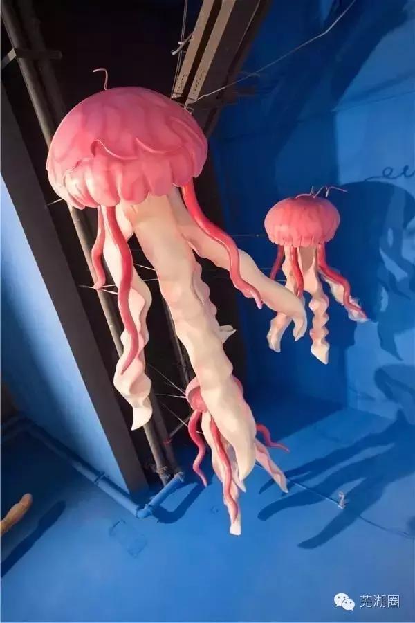 合肥海洋公园游览路线，芜湖海洋公园正式开园