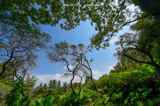 梅州五指石风景区，五指石风景区里面的磨肚峰简介（风景秀丽的小众旅游胜地）