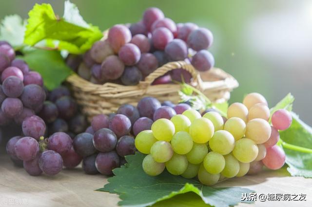 糖尿病能不能吃葡萄(糖尿病能不能吃蓝莓)