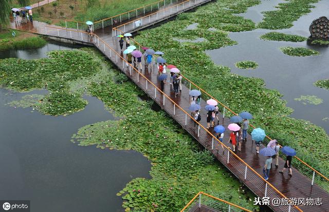 枣庄最值得去的旅游景点有哪些，枣庄在等你