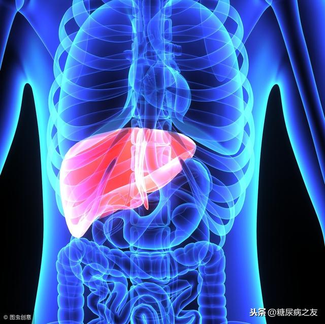 糖尿病怎么护肝肾(糖尿病如何护肝)