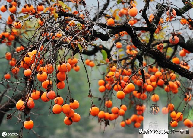 二十四节气知识，二十四节气知识详解（二十四节气）